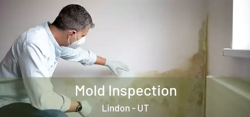  Mold Inspection Lindon - UT