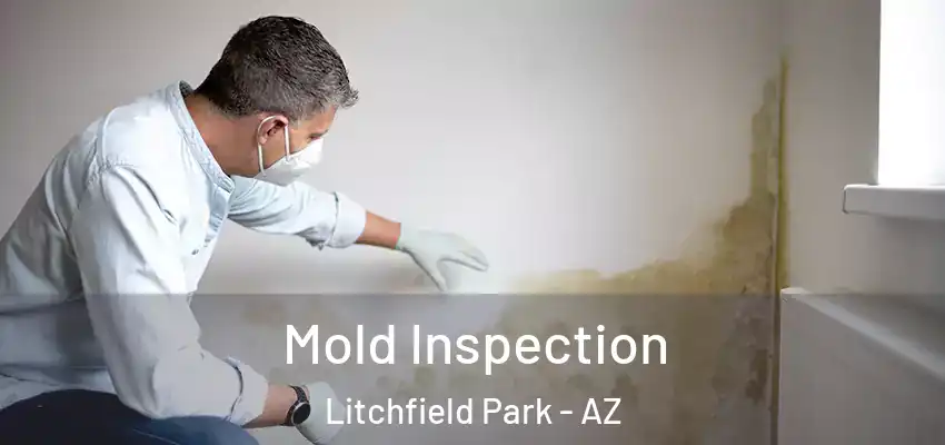 Mold Inspection Litchfield Park - AZ