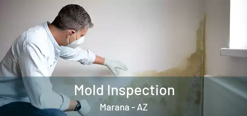  Mold Inspection Marana - AZ