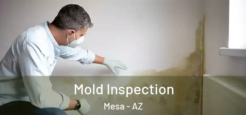 Mold Inspection Mesa - AZ