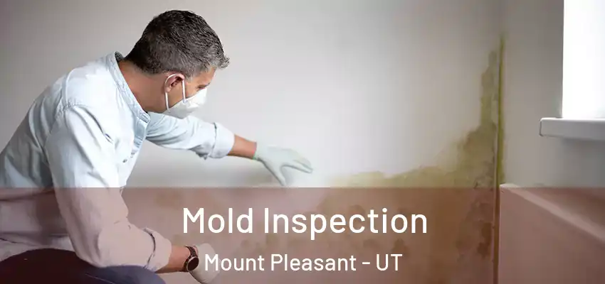 Mold Inspection Mount Pleasant - UT