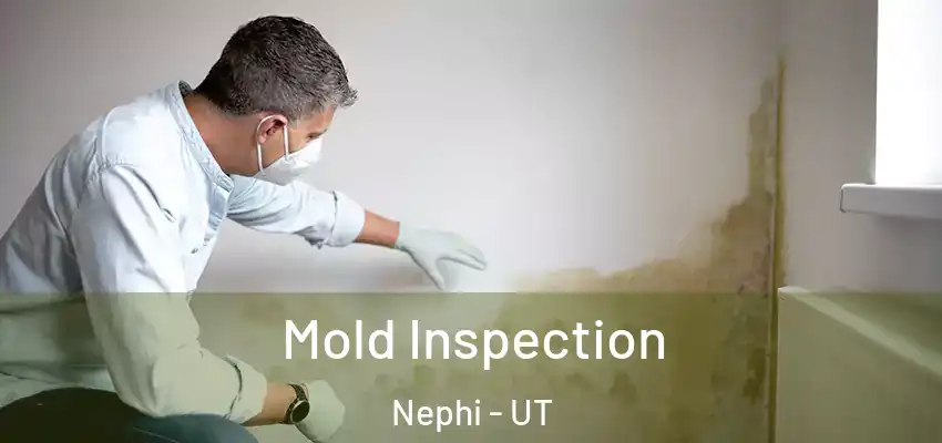 Mold Inspection Nephi - UT