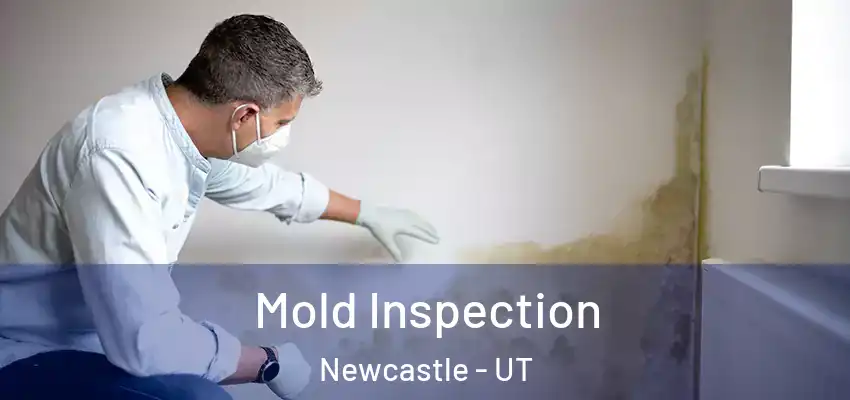 Mold Inspection Newcastle - UT