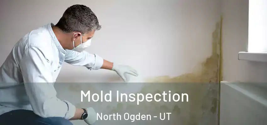  Mold Inspection North Ogden - UT