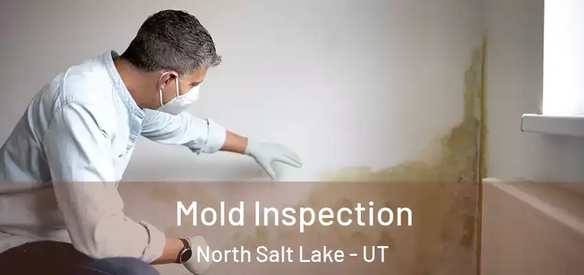 Mold Inspection North Salt Lake - UT