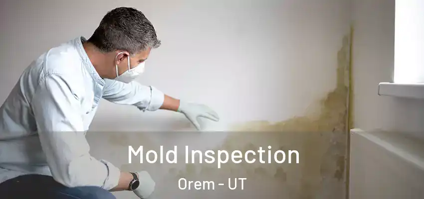 Mold Inspection Orem - UT