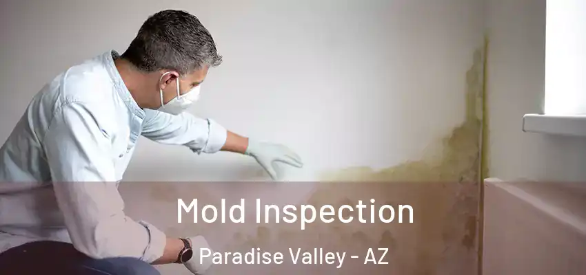 Mold Inspection Paradise Valley - AZ
