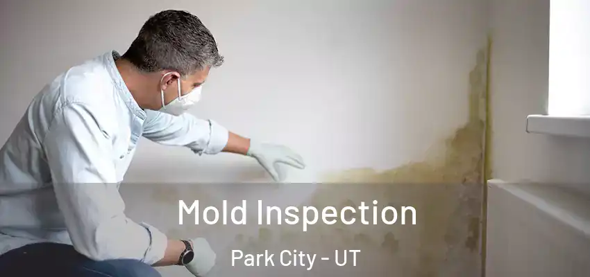 Mold Inspection Park City - UT