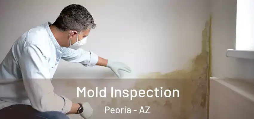  Mold Inspection Peoria - AZ