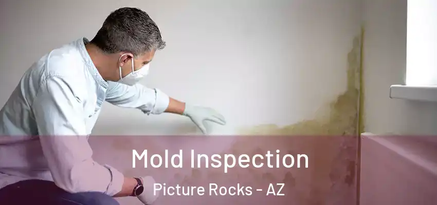  Mold Inspection Picture Rocks - AZ