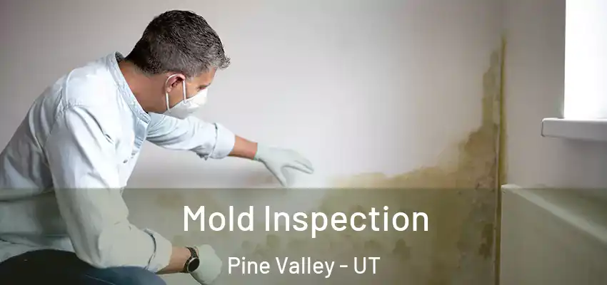 Mold Inspection Pine Valley - UT