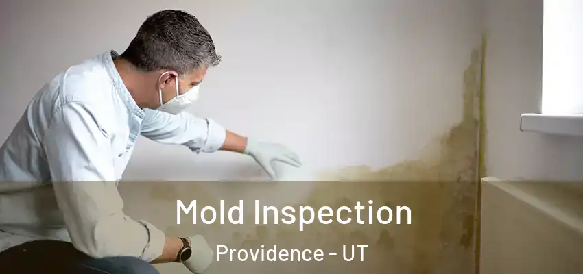  Mold Inspection Providence - UT