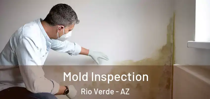 Mold Inspection Rio Verde - AZ