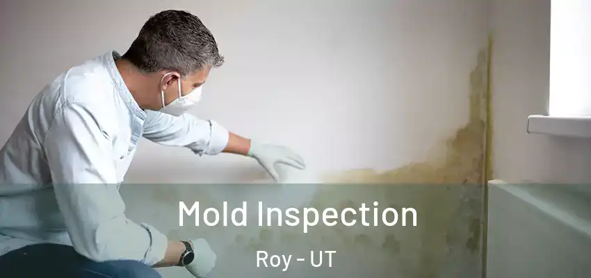  Mold Inspection Roy - UT