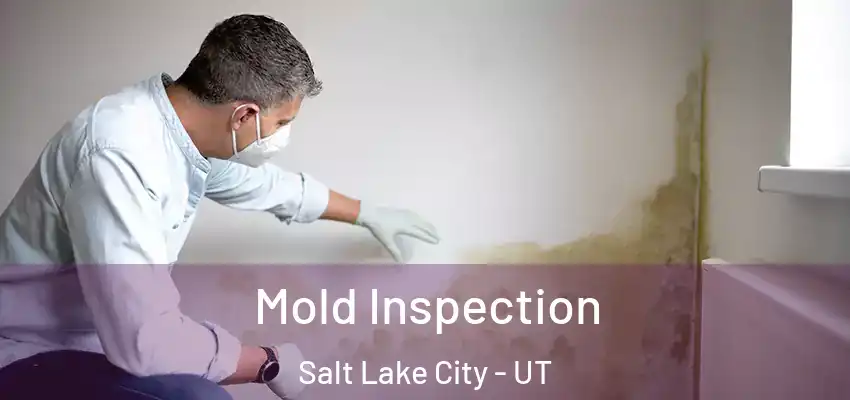  Mold Inspection Salt Lake City - UT
