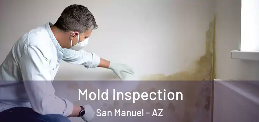  Mold Inspection San Manuel - AZ