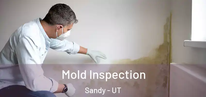 Mold Inspection Sandy - UT