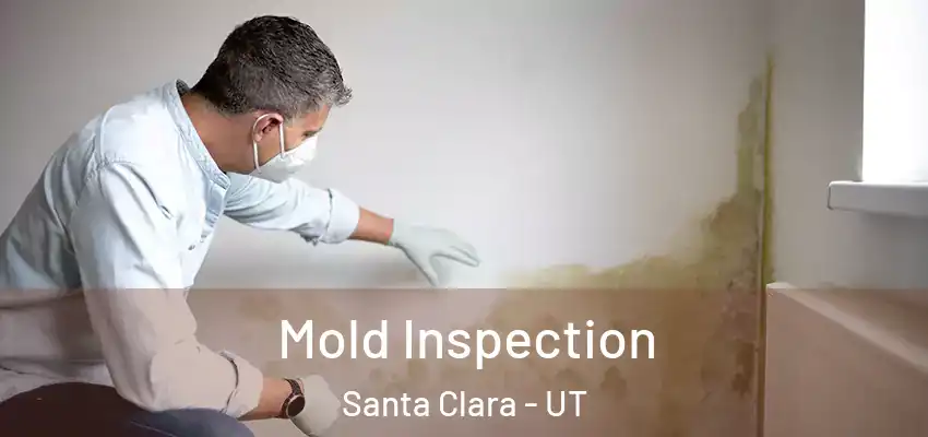  Mold Inspection Santa Clara - UT