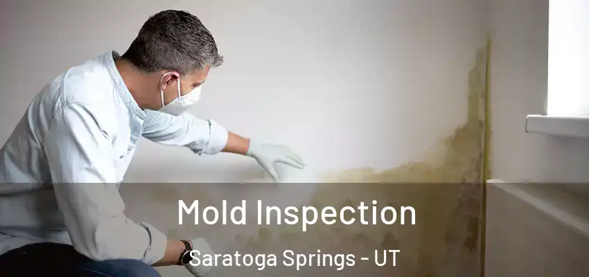  Mold Inspection Saratoga Springs - UT