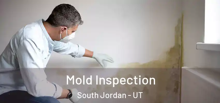 Mold Inspection South Jordan - UT