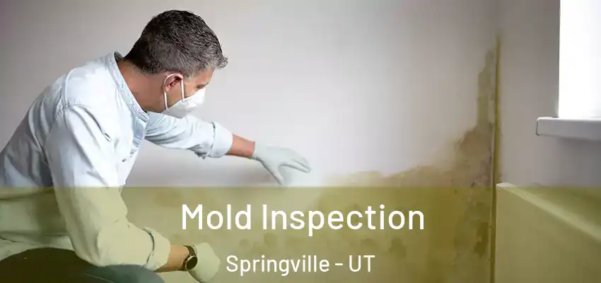 Mold Inspection Springville - UT