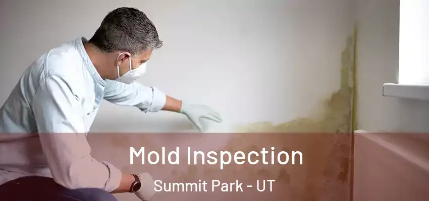 Mold Inspection Summit Park - UT