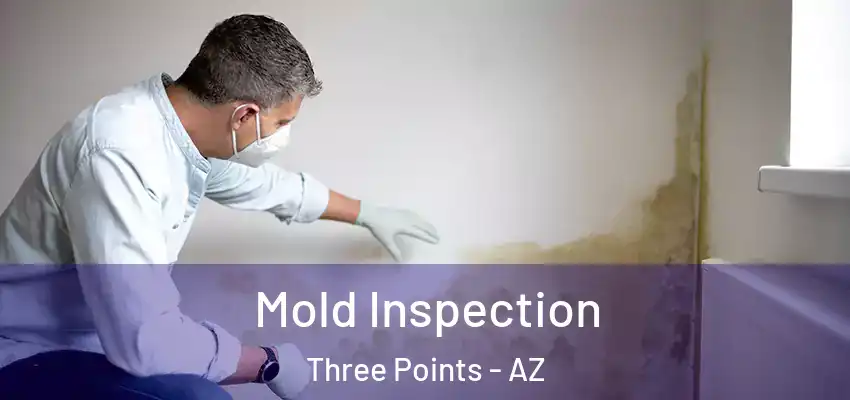 Mold Inspection Three Points - AZ