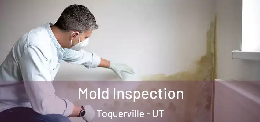  Mold Inspection Toquerville - UT