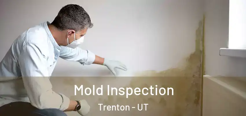 Mold Inspection Trenton - UT