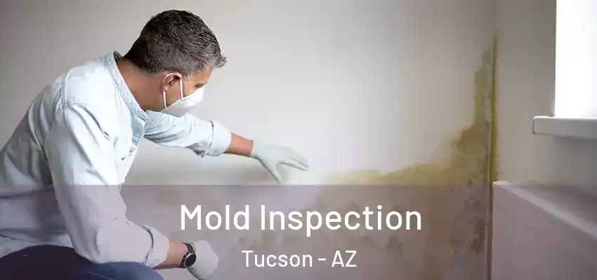 Mold Inspection Tucson - AZ