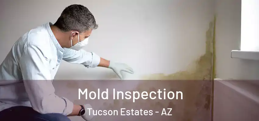  Mold Inspection Tucson Estates - AZ