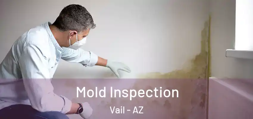 Mold Inspection Vail - AZ