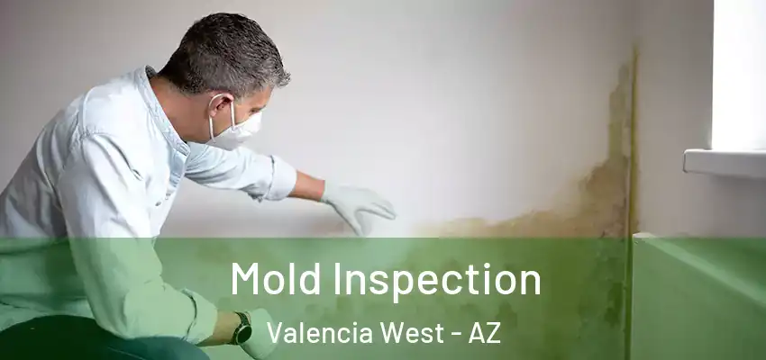  Mold Inspection Valencia West - AZ