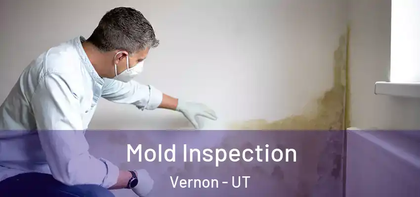  Mold Inspection Vernon - UT