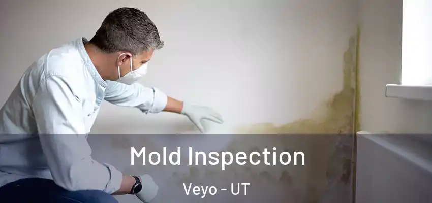  Mold Inspection Veyo - UT