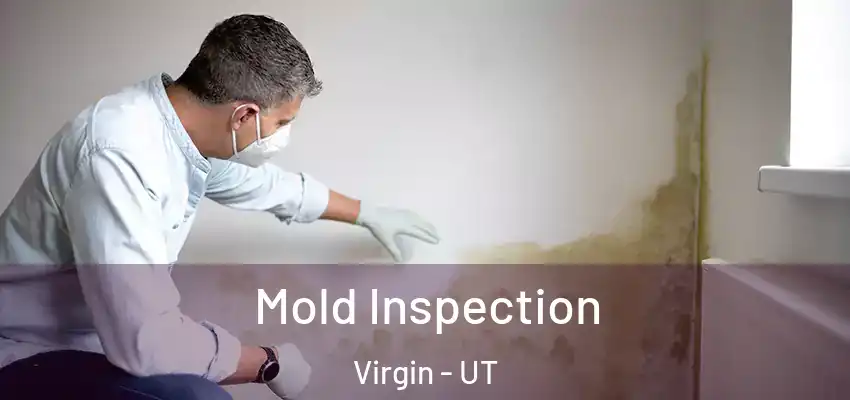 Mold Inspection Virgin - UT