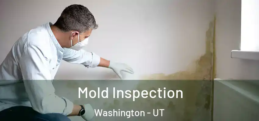  Mold Inspection Washington - UT