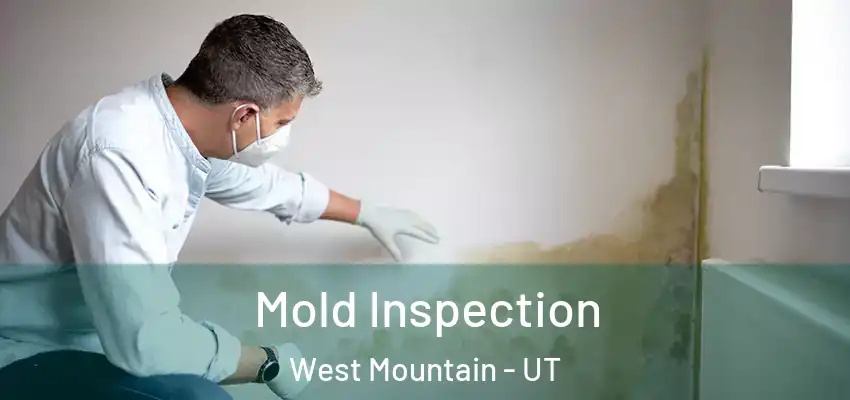  Mold Inspection West Mountain - UT