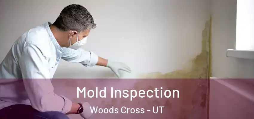  Mold Inspection Woods Cross - UT