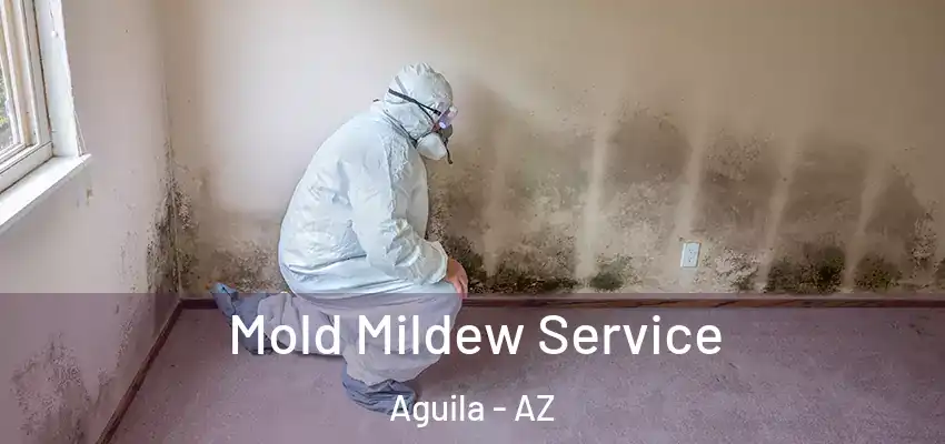  Mold Mildew Service Aguila - AZ
