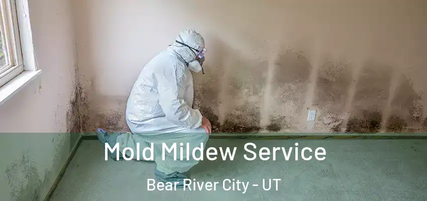  Mold Mildew Service Bear River City - UT