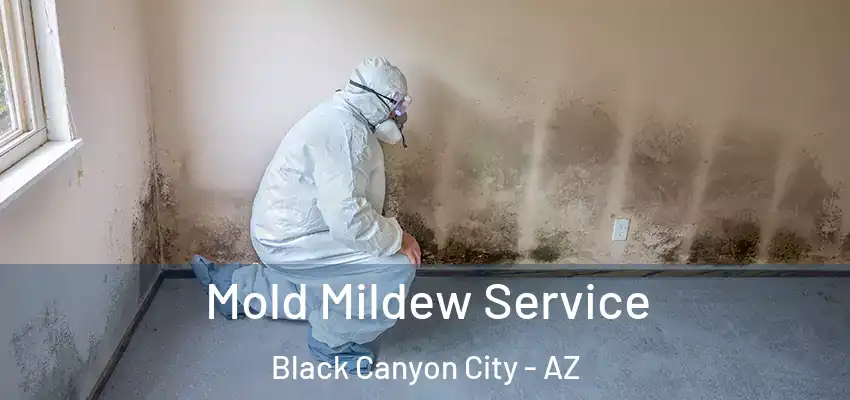  Mold Mildew Service Black Canyon City - AZ