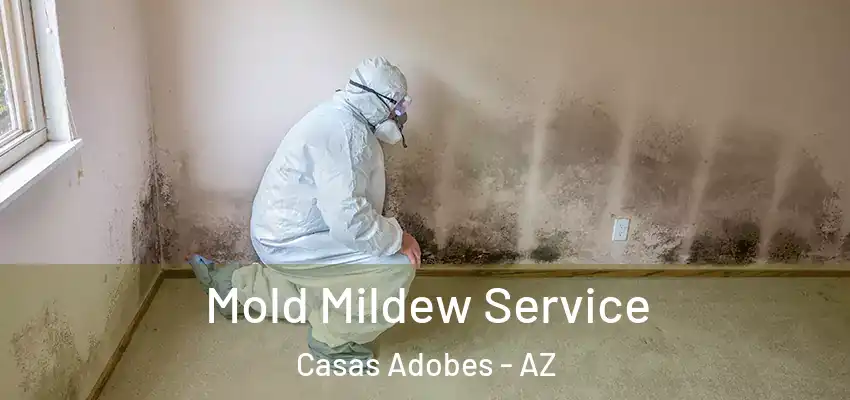  Mold Mildew Service Casas Adobes - AZ