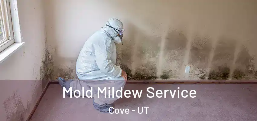  Mold Mildew Service Cove - UT