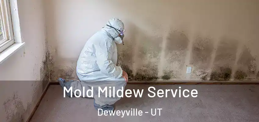  Mold Mildew Service Deweyville - UT
