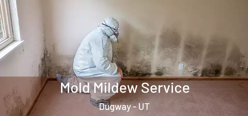  Mold Mildew Service Dugway - UT