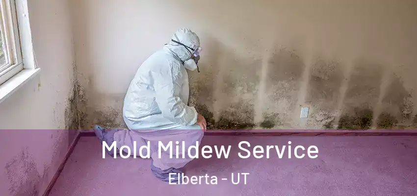 Mold Mildew Service Elberta - UT