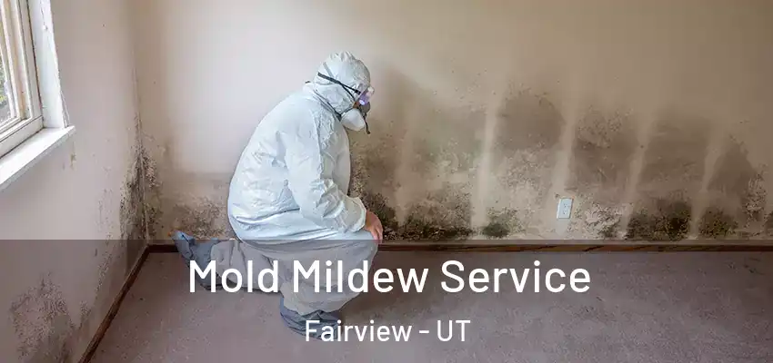 Mold Mildew Service Fairview - UT