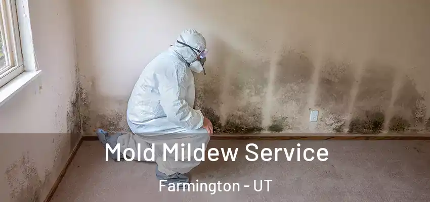Mold Mildew Service Farmington - UT