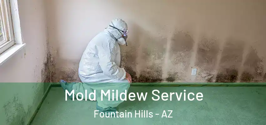  Mold Mildew Service Fountain Hills - AZ
